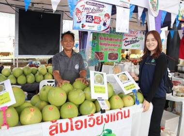 “รมช.เกษตร” ปักหมุดตลาดเกษตรกรเชียงราย หนุนบริโภคผลไม้ไทย ... พารามิเตอร์รูปภาพ 20